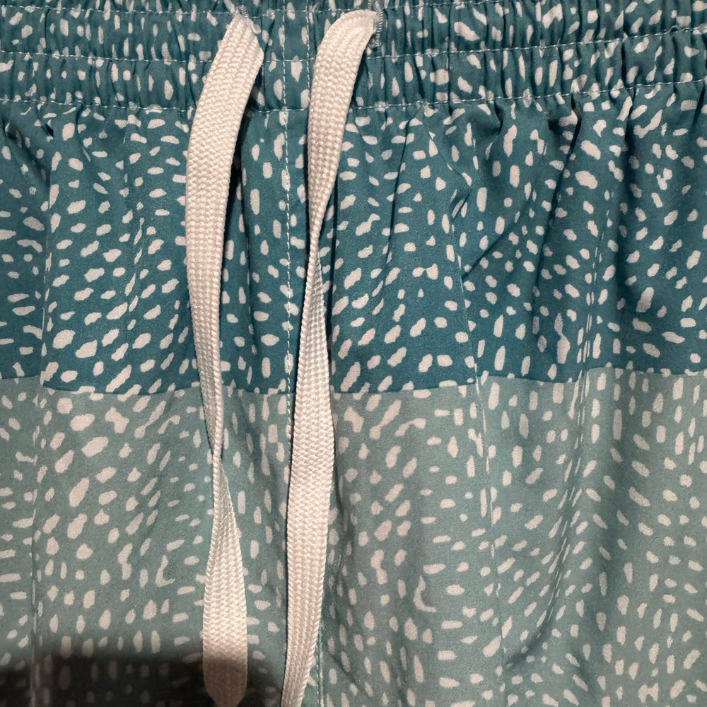 chubbies Green Gradient Patterned Swim Trunks - Picture 4 of 15